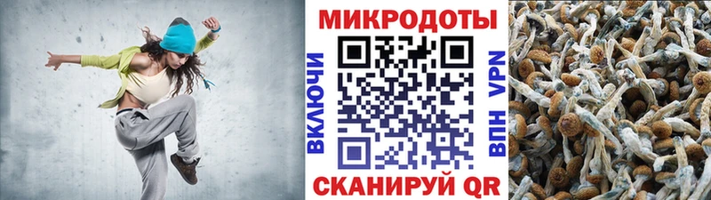 Псилоцибиновые грибы Psilocybe  Урень 